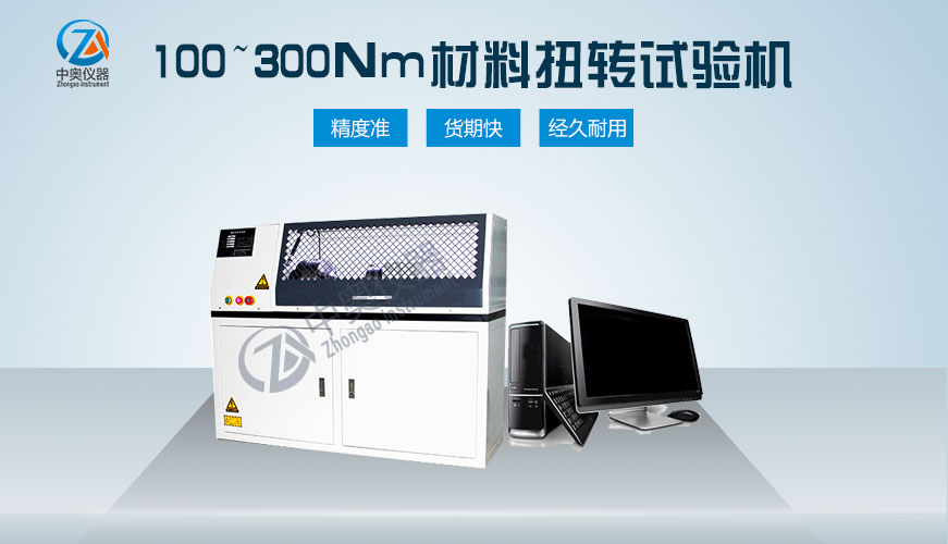 100~300Nm材料扭轉試驗機